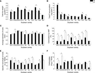 Global transcriptomic analysis reveals candidate genes associated with different phosphorus acquisition strategies among soybean varieties